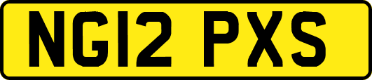 NG12PXS