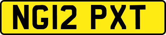 NG12PXT
