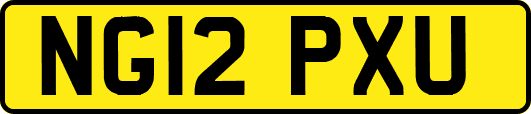 NG12PXU