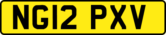 NG12PXV