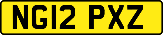 NG12PXZ