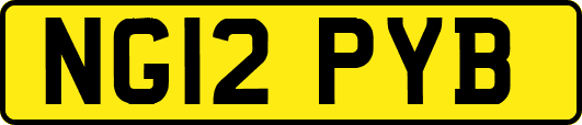 NG12PYB