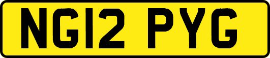 NG12PYG