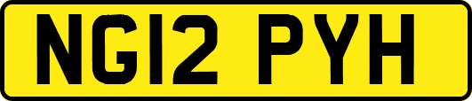 NG12PYH