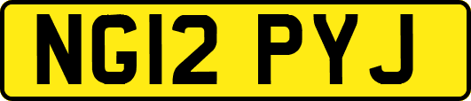NG12PYJ