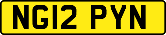 NG12PYN