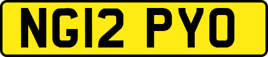 NG12PYO