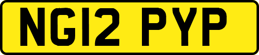 NG12PYP