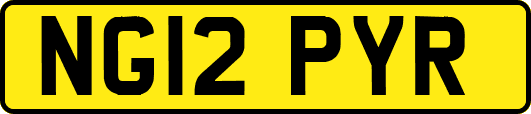 NG12PYR