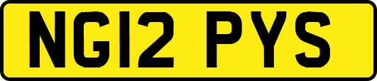 NG12PYS
