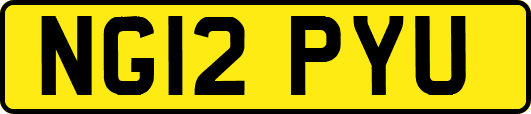 NG12PYU