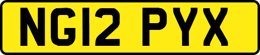 NG12PYX