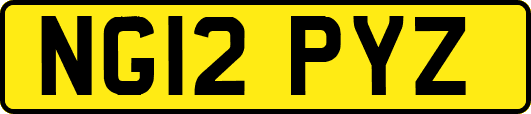 NG12PYZ