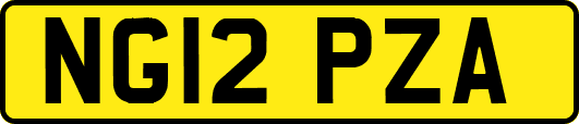 NG12PZA