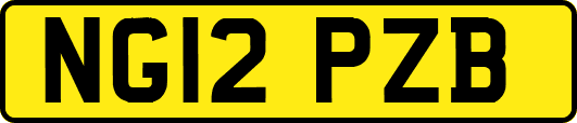 NG12PZB