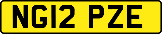 NG12PZE