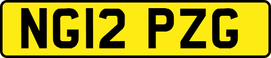 NG12PZG
