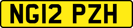 NG12PZH