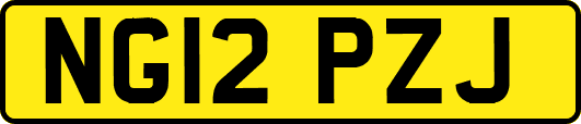 NG12PZJ