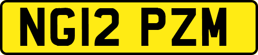 NG12PZM