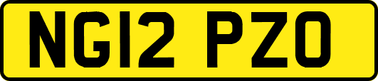 NG12PZO