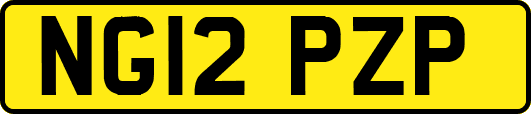 NG12PZP
