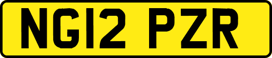 NG12PZR