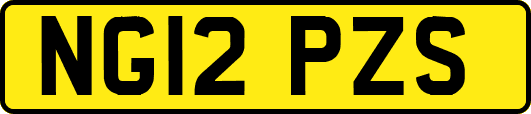 NG12PZS