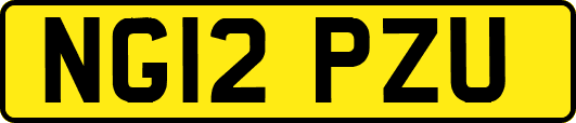NG12PZU