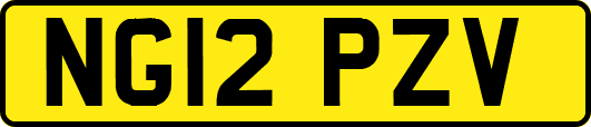 NG12PZV
