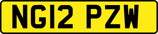 NG12PZW