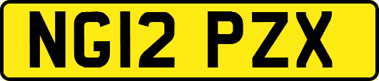 NG12PZX