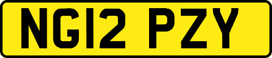 NG12PZY