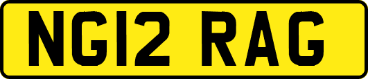 NG12RAG