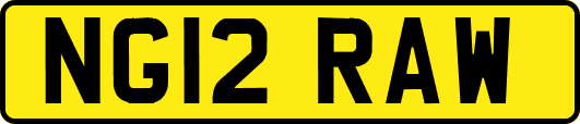 NG12RAW