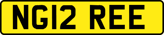 NG12REE