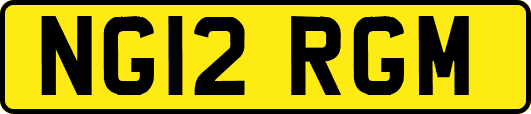 NG12RGM