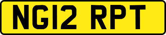 NG12RPT