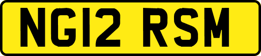 NG12RSM