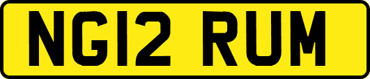 NG12RUM