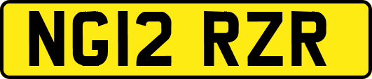 NG12RZR
