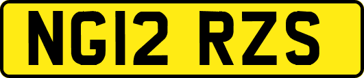 NG12RZS