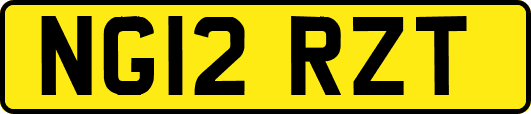 NG12RZT
