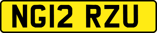 NG12RZU
