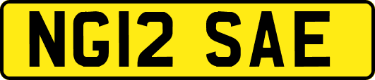 NG12SAE