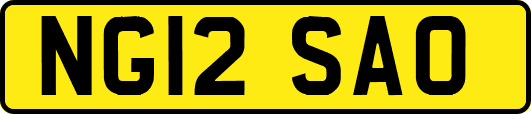 NG12SAO