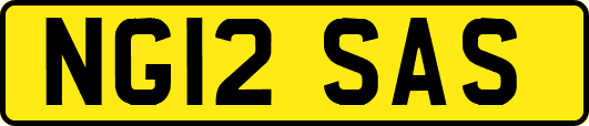 NG12SAS