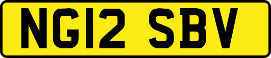 NG12SBV