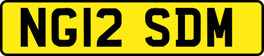 NG12SDM