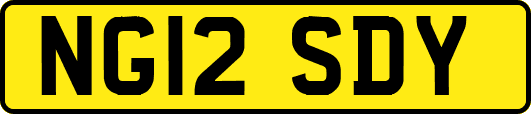 NG12SDY